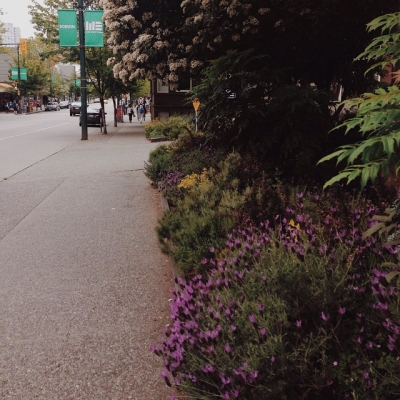 @westendbia: “Robson Street is always such a lovely place for