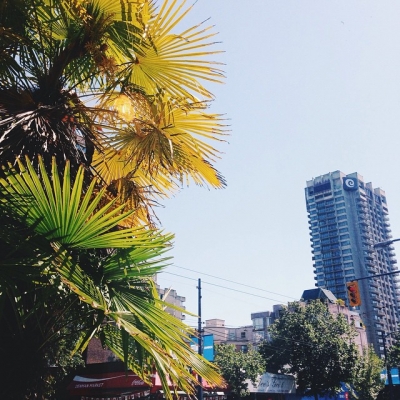 @westendbia: “Happy Friday everyone! The hot sun and palms are